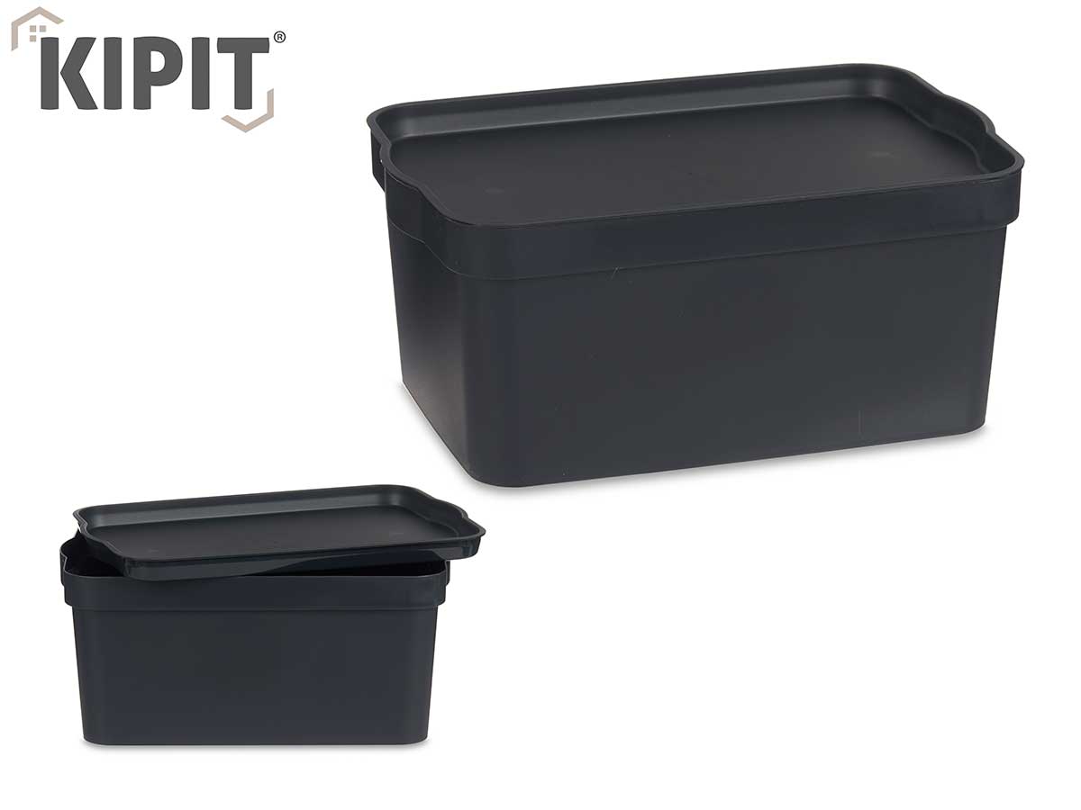 Caja de Almacenaje con Tapa Antracita Plástico 7,5 L 21 x 14,2 x 32 cm (12  Unidades) 