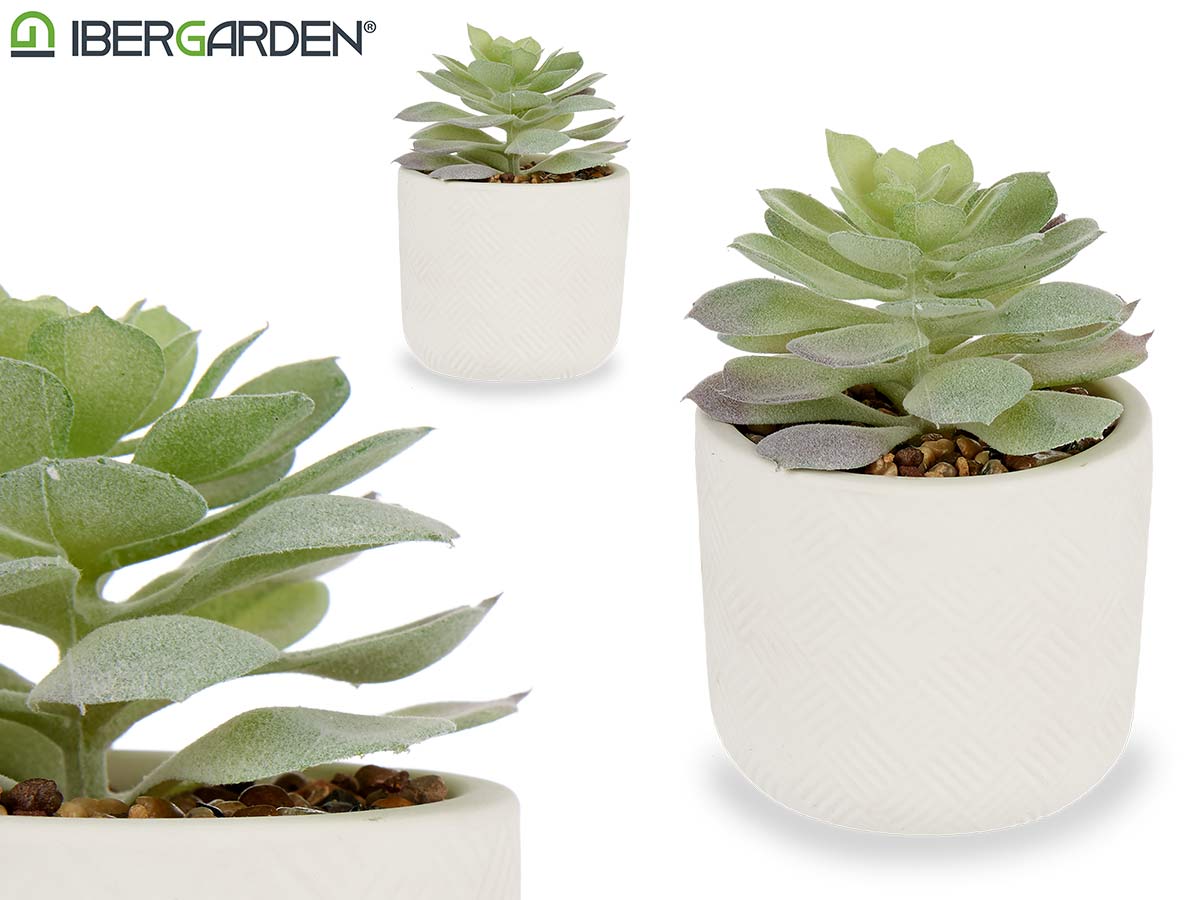 Planta de folha redonda 9X14cm com vaso branco