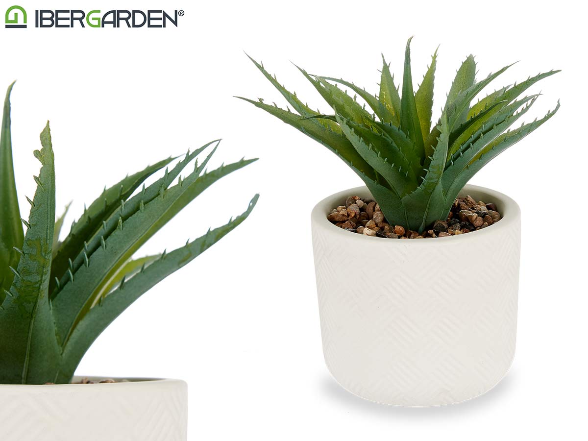 9X14Cm Pointed Leaf Plant With White Pot