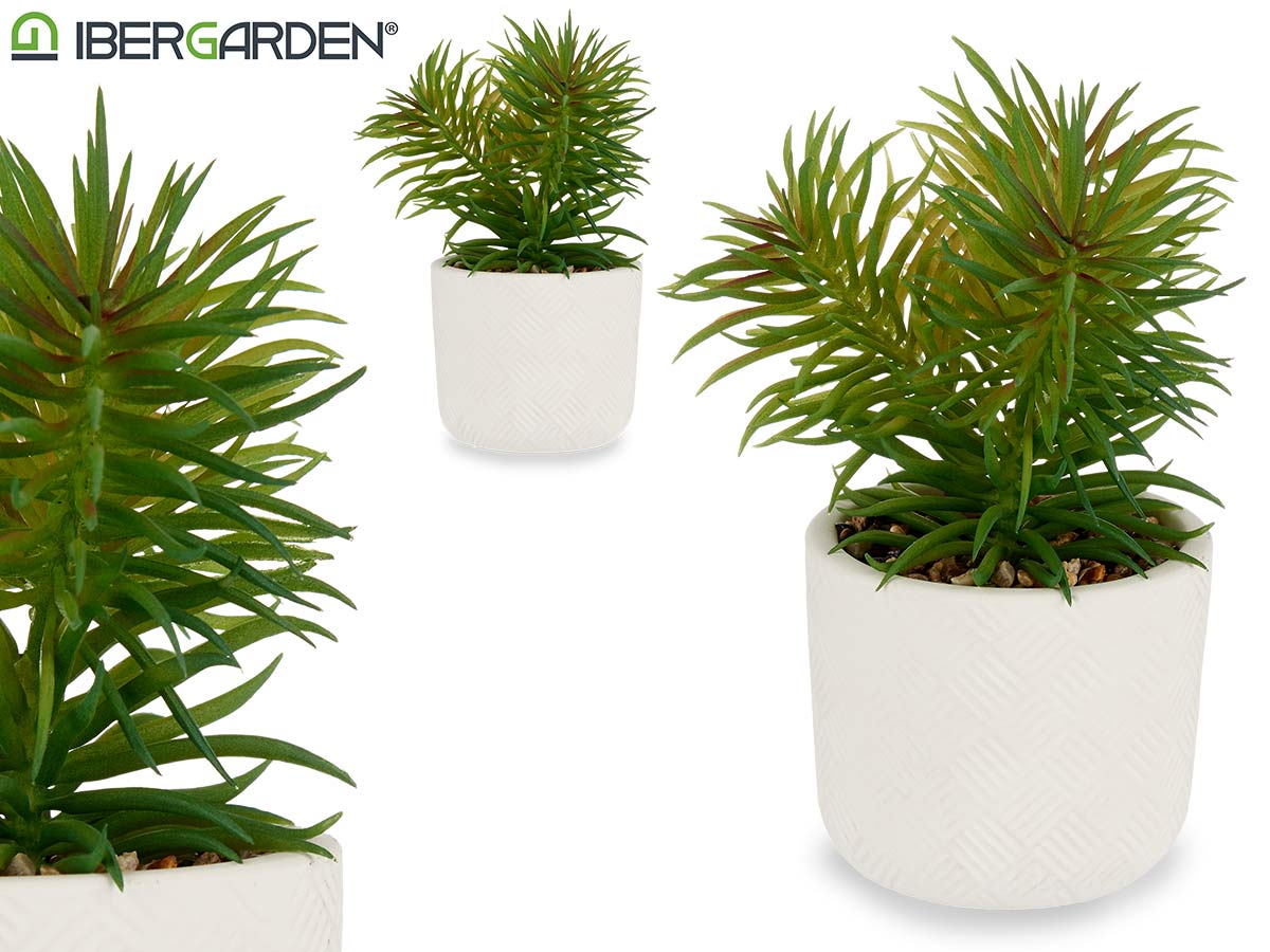 9X14Cm Fine Leaf Plant With White Pot