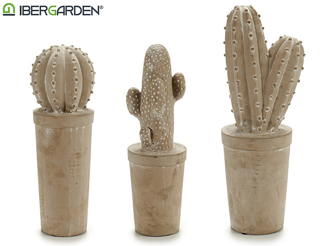 Stone Cactus Lavado Blanco Grande Surtido 3