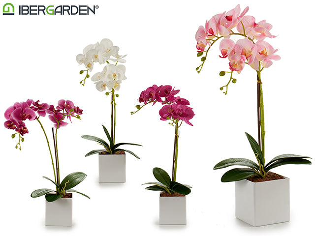 Orquídea em vaso quadrado branco 51cm Mix 4Col