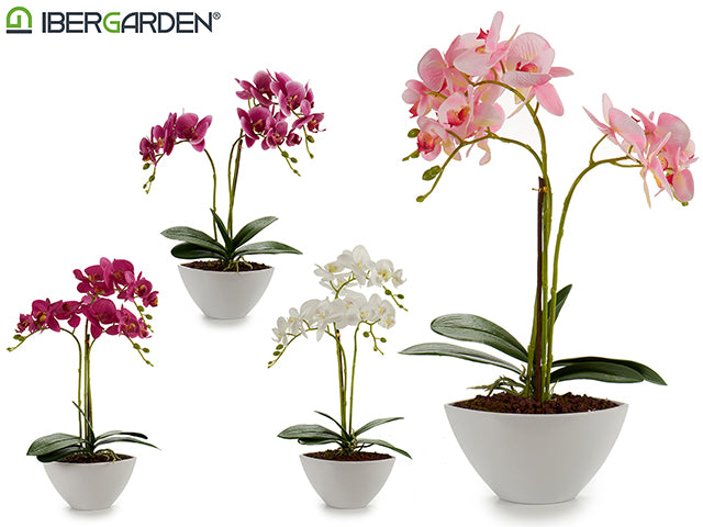 Oval Potted Orchid White 47Cm Mix 4Col