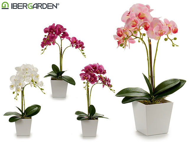 Square Potted Orchid White 50Cm Mix 4Col