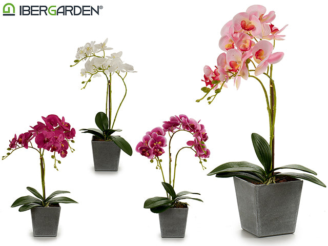 Square Potted Orchid Grey 50Cm Mix 4Col