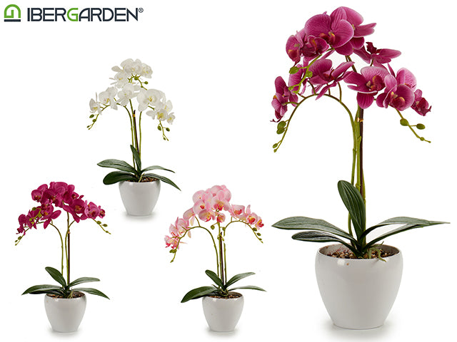 Conical Circular Potted Orchid White 4Cl