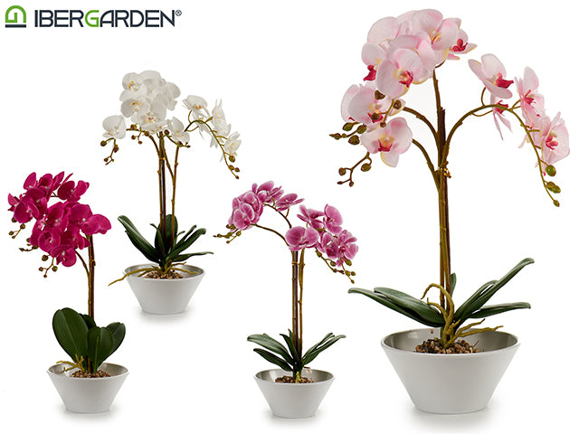 Conical Potted Orchid White Big 58Cm 4Cl