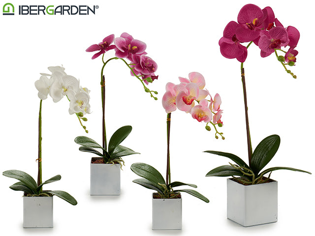 Square Potted Orchid White 43Cm Mix 4Col