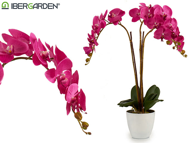 Fucsia Orchid White Conical Jumbo Pot