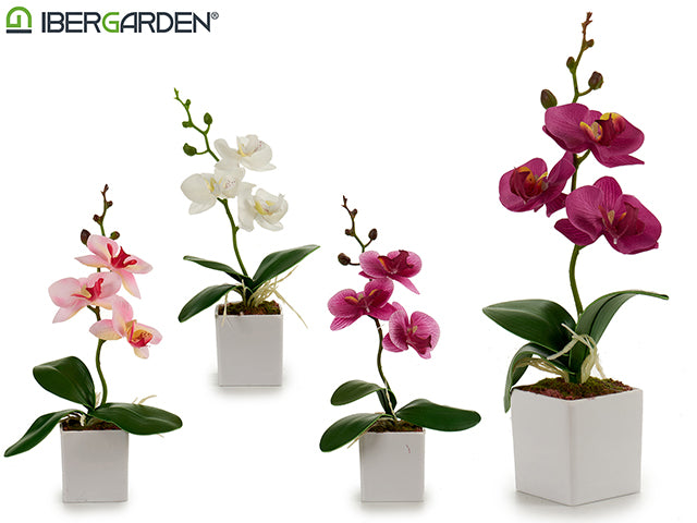 Square Potted Orchid White Small Mix 4C