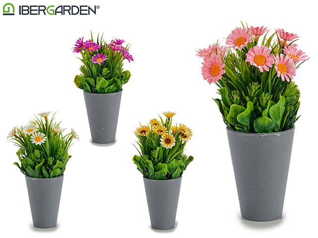 Potted Daisy Flowers Grey Mix 4 Colors