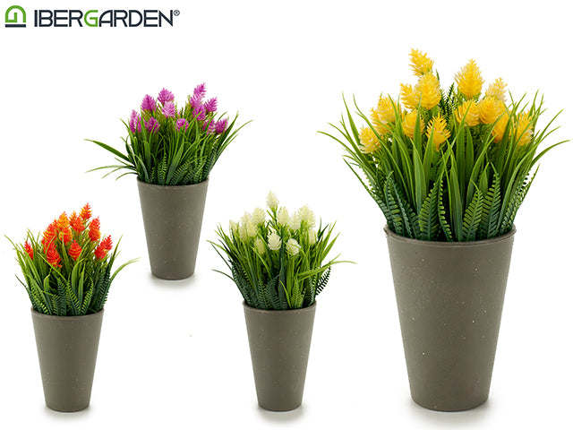 Potted Spike Flowers Grey Mix 4 Colors