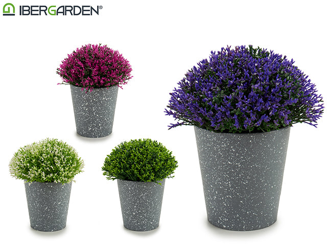 Potted Mini Flowers Grey Dots Mix 4 Col