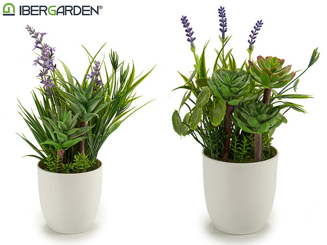 Plantas e vaso de flores de lavanda Mix 2 Mode