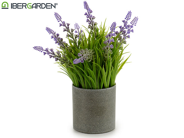 Gray Concret Flowerpot Lavender