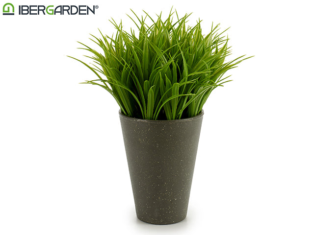 Dark Grey Flowerpot Plant