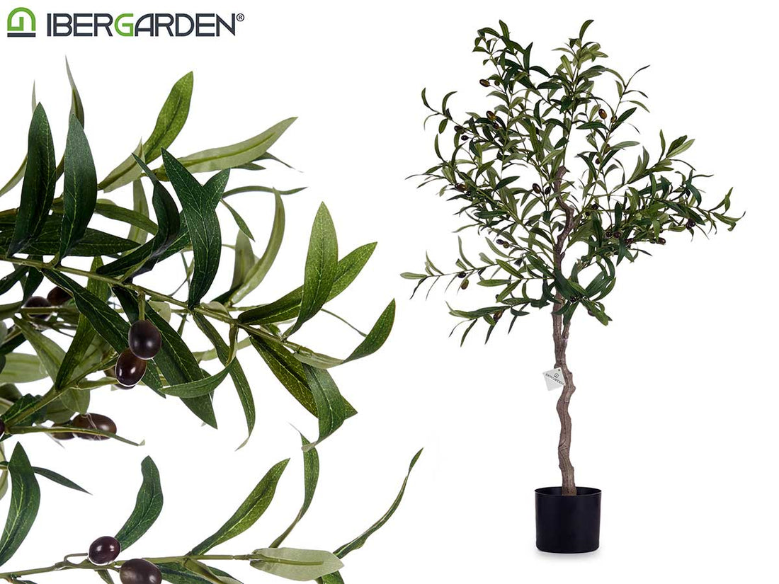 Olive Tree With Pot 150Cm
