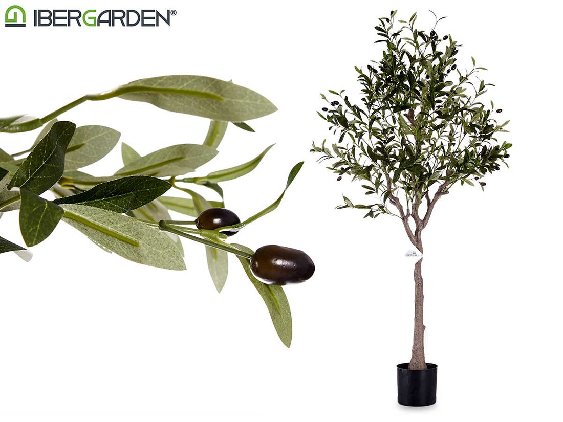 Olive Tree With Pot 130Cm