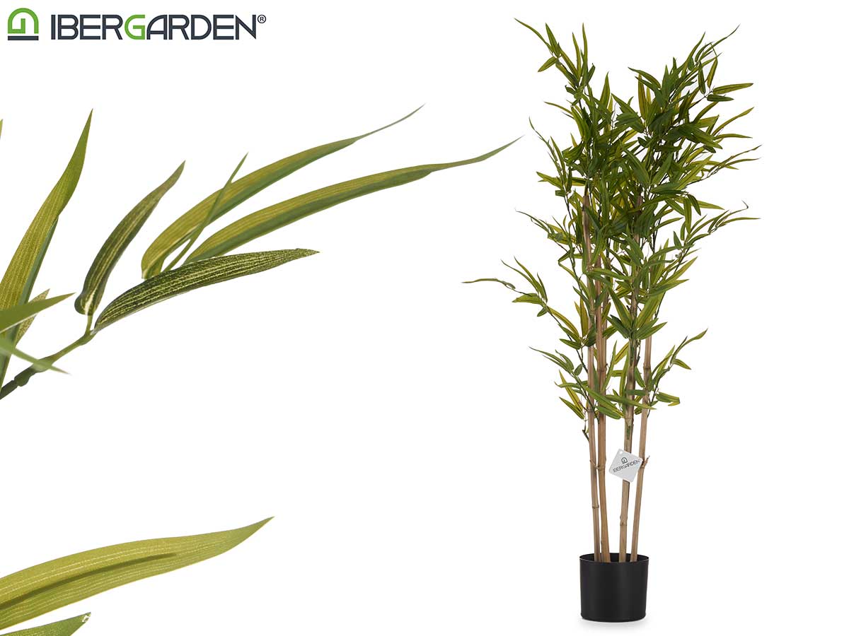 Planta Bambu Pequena Com Vaso 120Cm