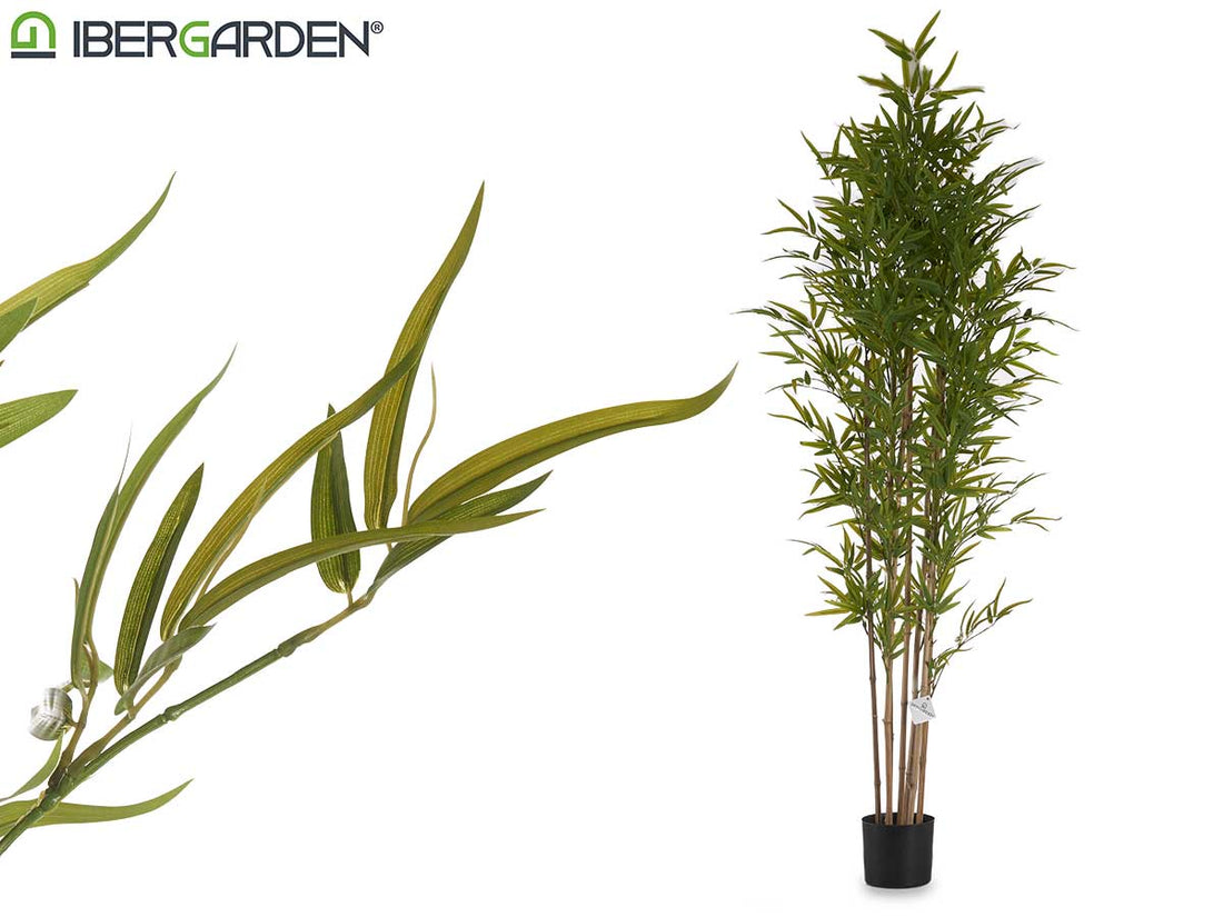 Big Bamboo Plant With Pot 180Cm