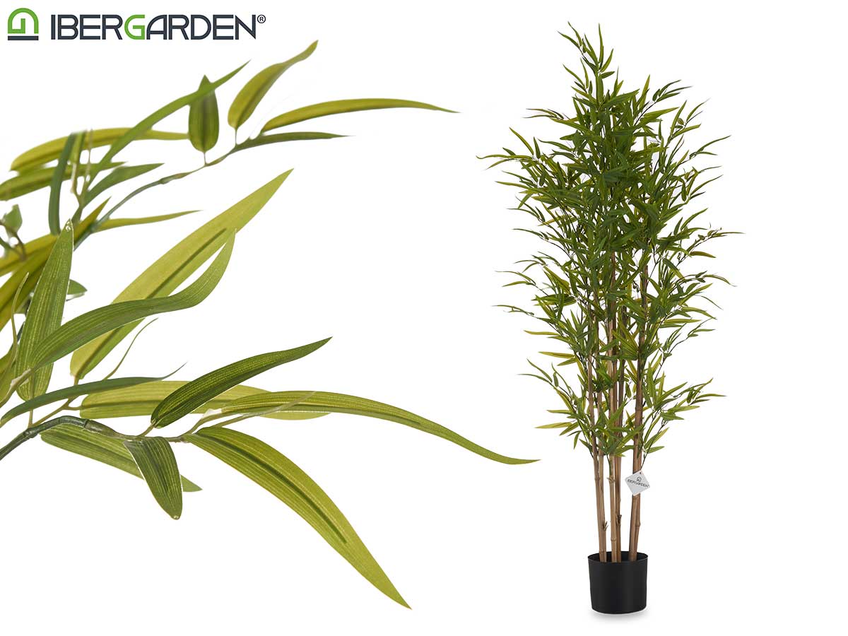 Medium Bamboo Plant With Pot 150Cm