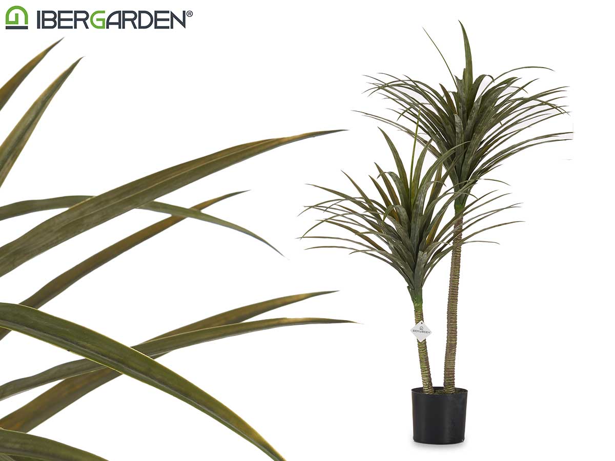 Medium Narrow Leaves Plant With Pot 150Cm