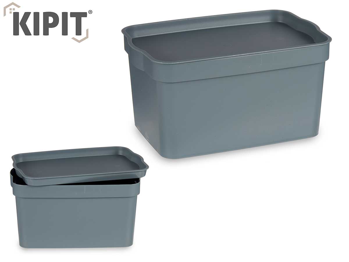 Caja De Almacenamiento De Plástico Gris Con Tapa 2.3L