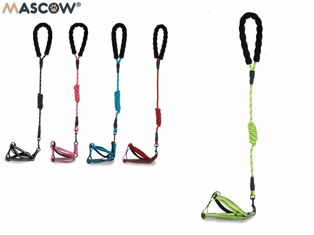 Thin Pet Harness With Round Handle Set 5 Colors