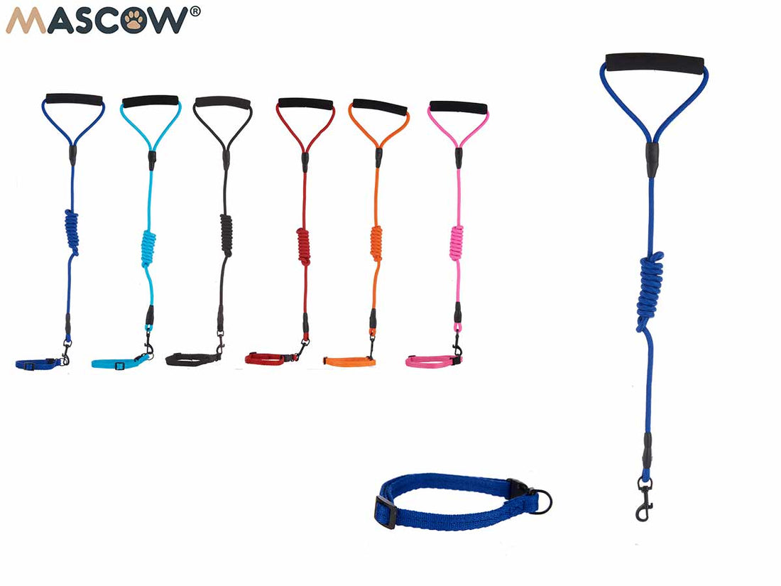 Large Collar With Leash For Pets Assort 6 Colours