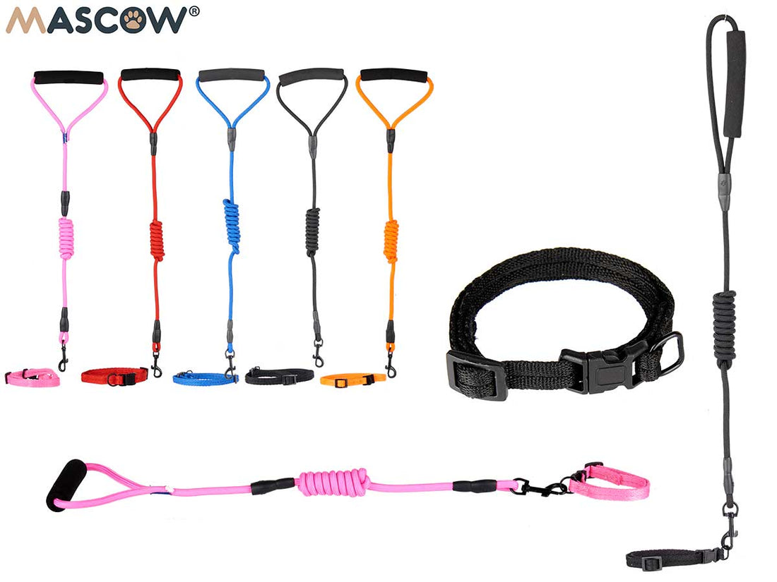 Small Collar With Leash For Pets Assort 5 Colours