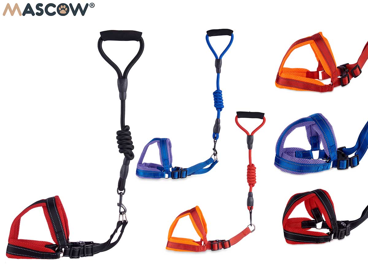 Big Pet Lead With Harness Set 3 Colors