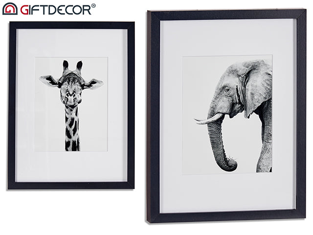 Assort Picture Elephant-Giraffe Black Frame 33 x 43 cm